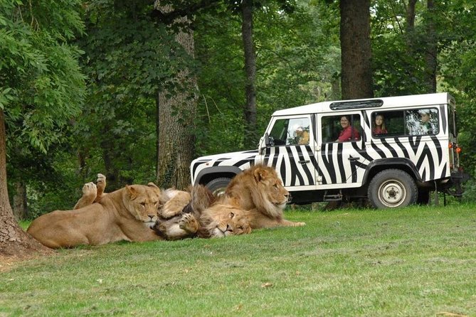 Zoo Safari Thoiry — photo 2